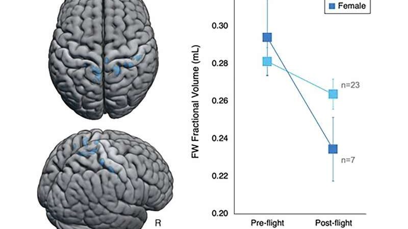 Различия в восприятии космических полетов: Мужчины и женщины