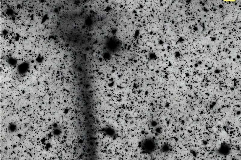 Первое открытие Обсерватории Веры Рубин: Исполинский звёздный поток у галактики M61 Первое открытие Обсерватории Веры Рубин: Исполинский звёздный поток у галактики M61