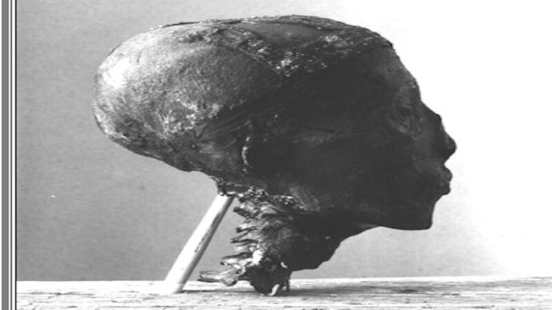 Расчлененный фараон: как величайшее археологическое открытие века превратилось в акт научного вандализма