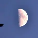 Полумесяц в Водолее: Ночной небосвод в конце ноября