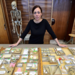 Последние из рода: Жестокая тайна неандертальцев из пещеры Гойет