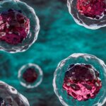 Ключ к лечению диабета и старения: Учёные нашли «зомби-клетки» в сосудах