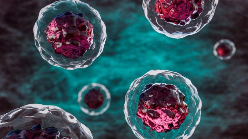 Ключ к лечению диабета и старения: Учёные нашли «зомби-клетки» в сосудах