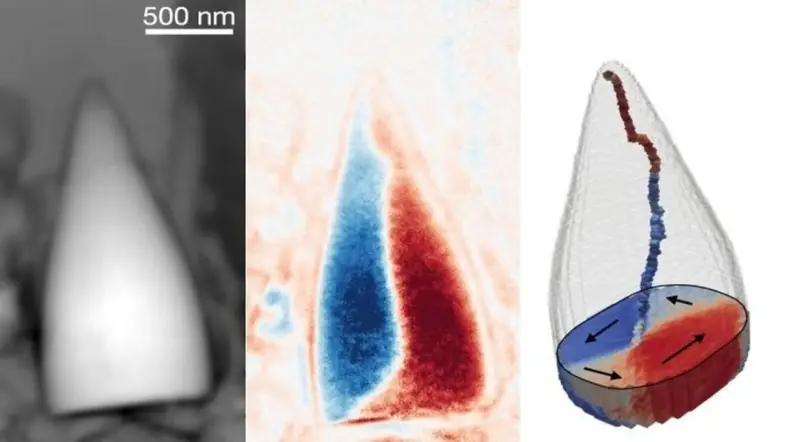 Древний компас: Ученые нашли следы биологического GPS возрастом 97 миллионов лет