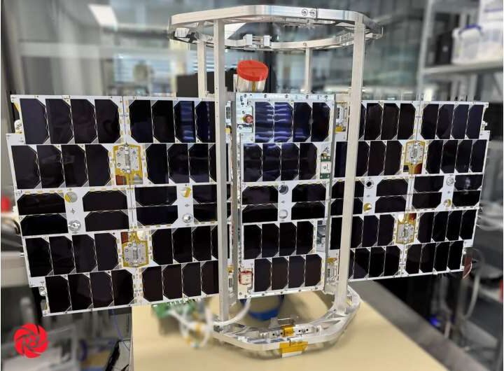 Возвращение Икара: Новая эра наблюдения за дикой природой