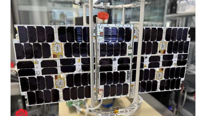 Возвращение Икара: Новая эра наблюдения за дикой природой