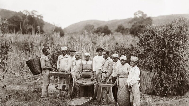 Разные лица рабства: США и Латинская Америка