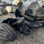 Тайна Огмор-бай-Си: волны возвращают викторианскую обувь, похороненную век назад