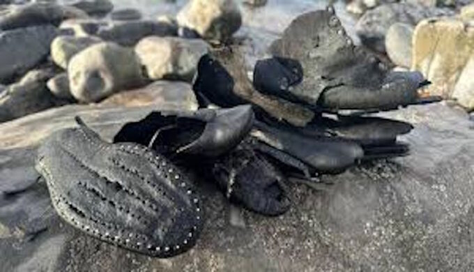 Тайна Огмор-бай-Си: волны возвращают викторианскую обувь, похороненную век назад