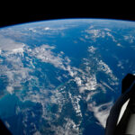 Экипаж МКС-74 изучает стволовые клетки и готовит грузовой корабль к отправке