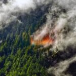 Лесные пожары создают свои собственные погодные системы