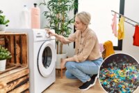 Микропластики в стиральной машине: как рыбы помогли создать новый фильтр