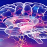 Алкоголь и мозг: почему опьянение похоже на отключение интернета между городами