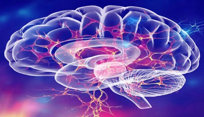 Алкоголь и мозг: почему опьянение похоже на отключение интернета между городами