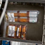 Космический урожай: как грибы, побывавшие на МКС, вернулись на Землю, чтобы стать ужином