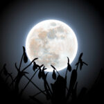 «Снежная луна» над подснежниками: астрофотограф запечатлел редкий зимний кадр