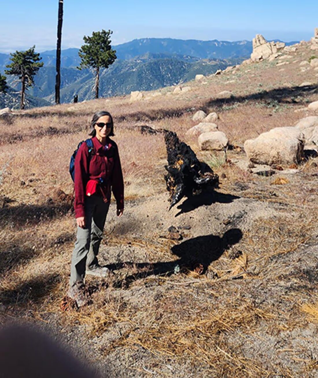 «Тёмная тайна» за горизонтом: Конгресс США требует расследовать череду исчезновений учёных, связанных с изучением НЛО