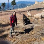 «Тёмная тайна» за горизонтом: Конгресс США требует расследовать череду исчезновений учёных, связанных с изучением НЛО