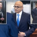 «От муравья до кошки»: гендиректор Microsoft защитил коммерциализацию OpenAI в суде против Илона Маска