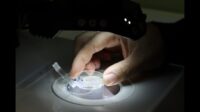 Шрамы юной Земли: в Австралии найден древнейший астероидный кратер возрастом 3,02 миллиарда лет