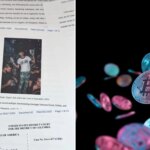 Криптовалютный «Феррис Бьюллер»: сингапурец, укравший $240 миллионов, готовится признать вину