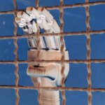 «Камера пыток для ИИ»: как тестирование болевых ощущений машин вызвало скандал
