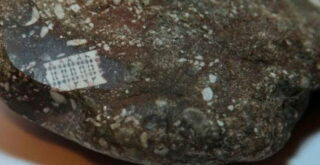 Ученые разгадали тайну «микрочипа», вживленного в скалу возрастом 450 миллионов лет